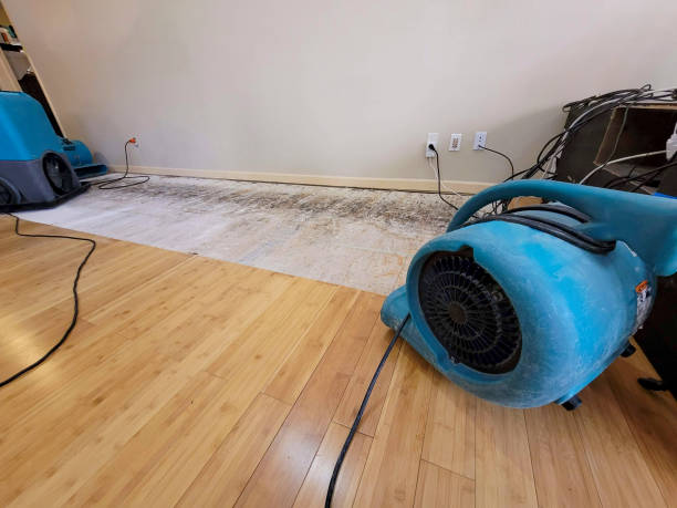 Professional Basement Flood Cleanup technician working in Welcome, SC